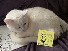 Load image into Gallery viewer, A white cat on a bed admiring a yellow Speedo Frog Loves You sticker